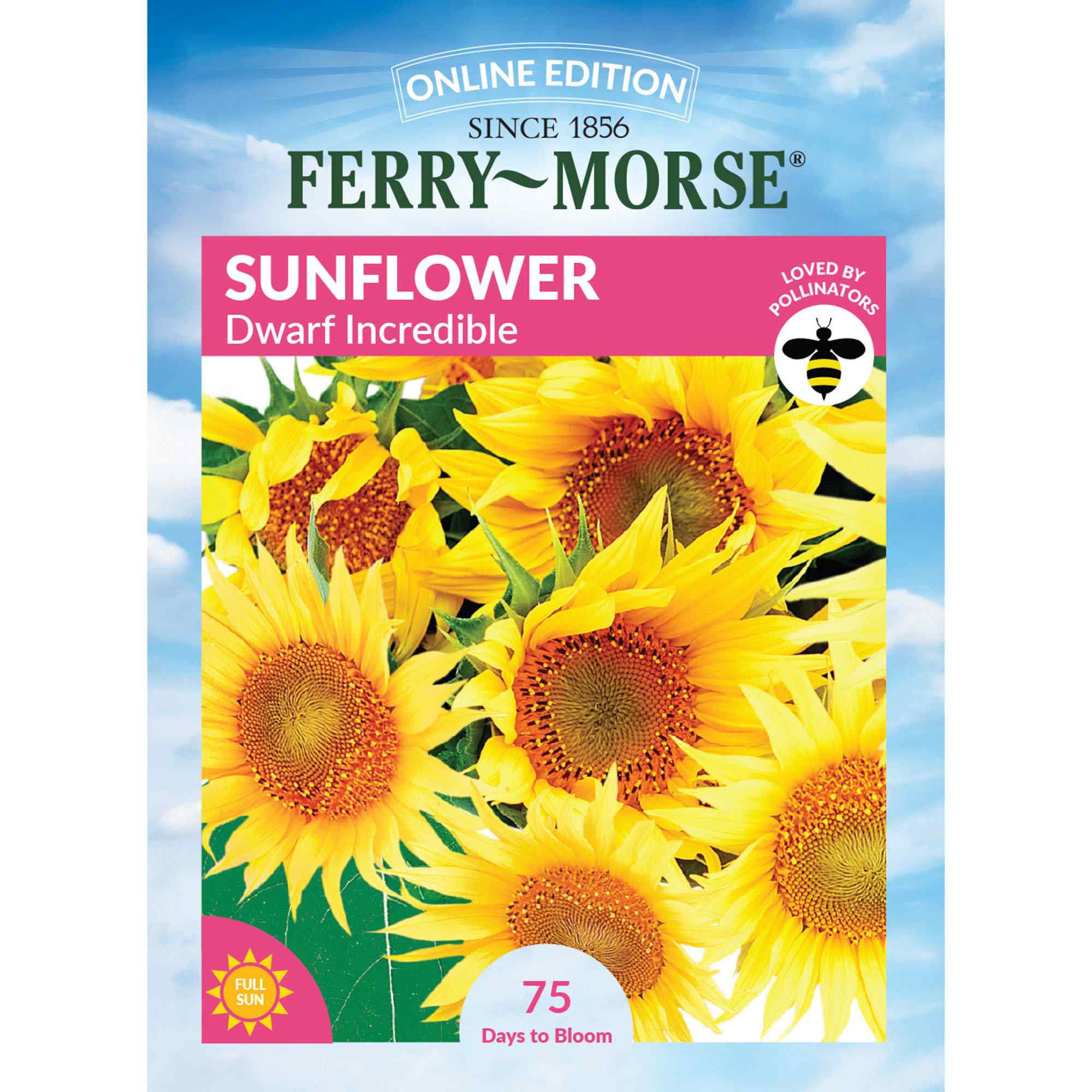 Sunflower dwarf incredible front of packaging